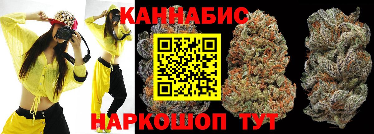 Можга  Бошки Шишки THC 21%  Каннабис планчик  Вход с VPN 